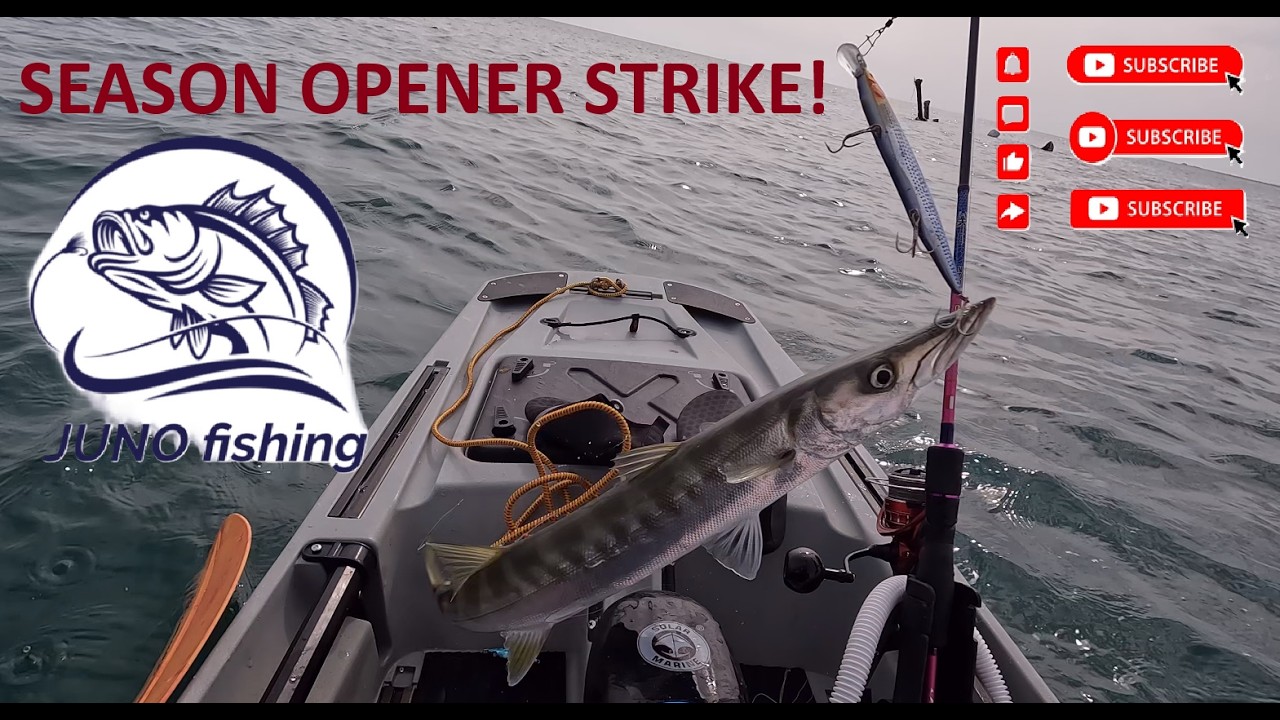 Juno Fishing | First Kayak Trip of the Season… Barracuda Attack! 🎣🔥