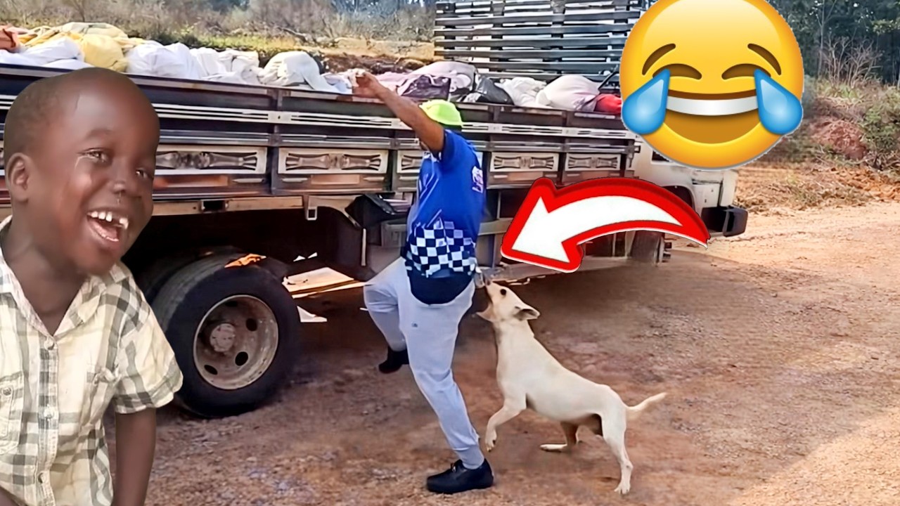 The  Best Of The Internet  (2025 , 2026 ) TRY NOT TO LAUGH CHALLENGE 😂 // FUNNY VIDEOS