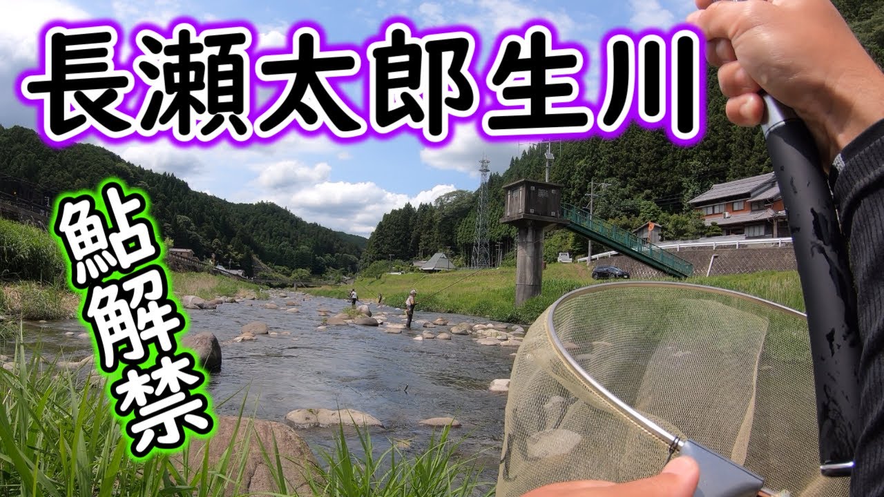 長瀬太郎生川　6/5にアユの友釣り解禁　今年の長瀬はどんな具合？？【2022】