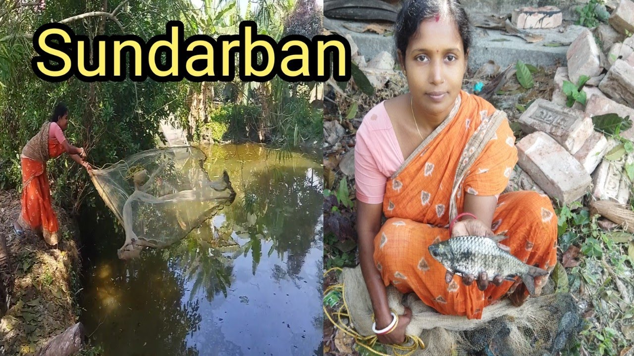 এই ঠান্ডায় পুকুর থেকে মাছ ধরাটা দেখুন কতটা কষ্টকর 😒😒Sundarban Ghorkonna 
