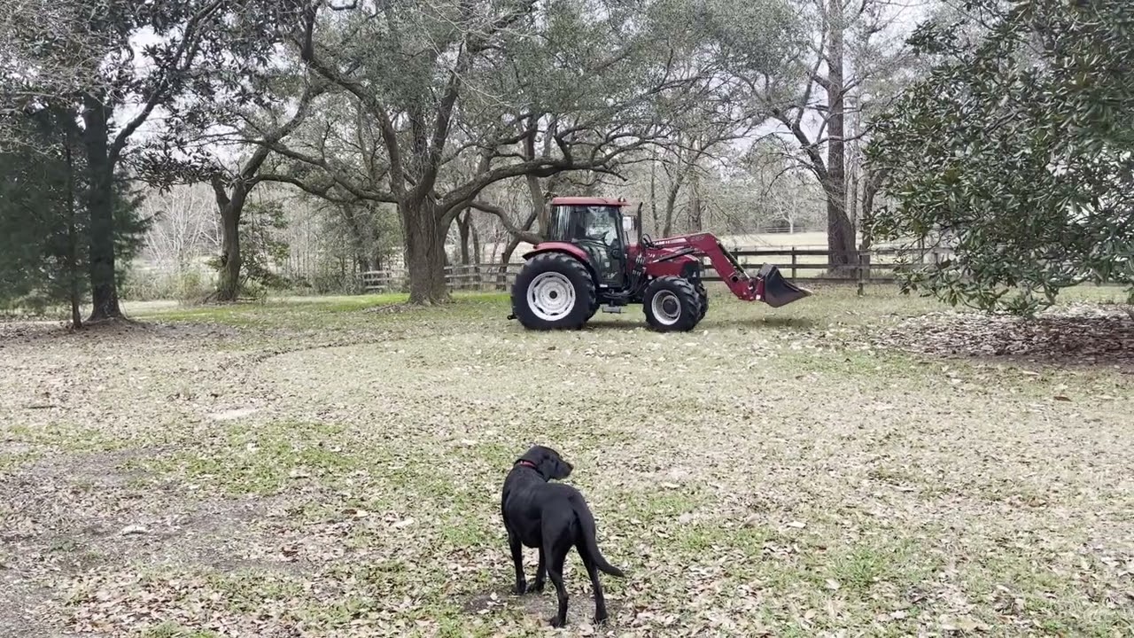 CASE IH FARMALL 95C For Sale