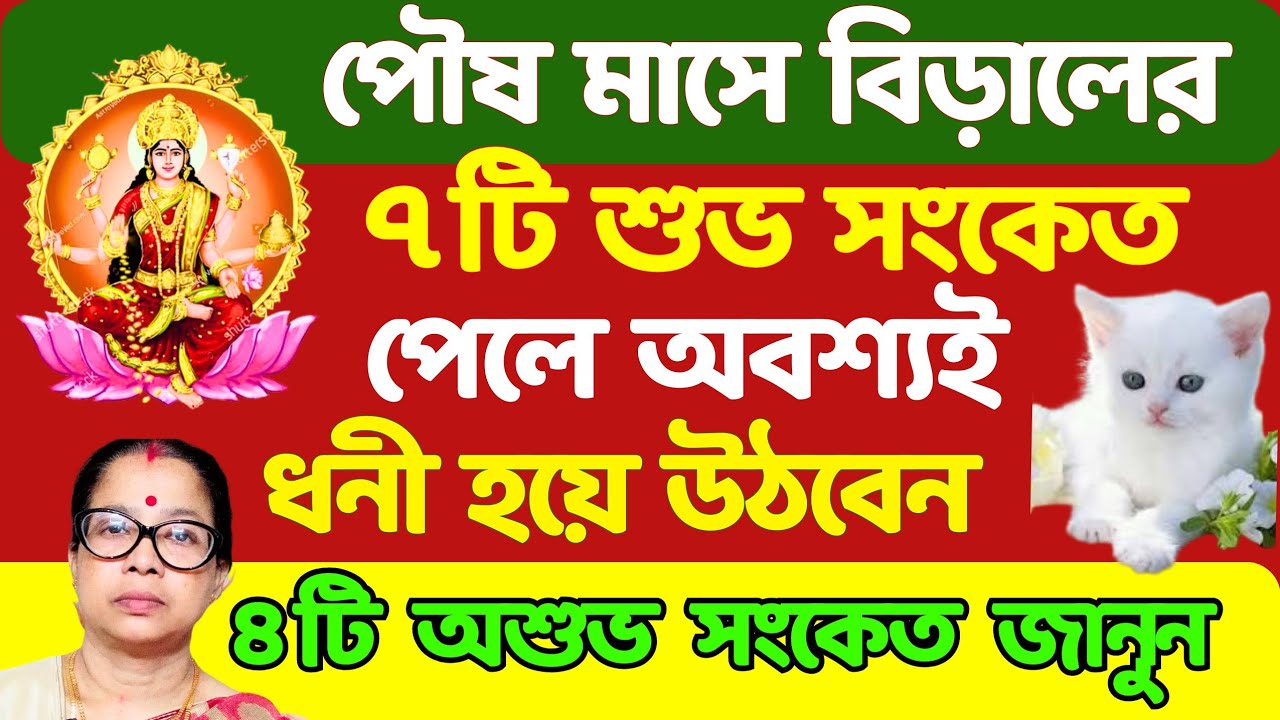 পৌষ মাসে বিড়ালের এই ৭টি শুভ সংকেত পেলে ধনী হয়ে উঠবেন। ৪টি অশুভ সংকেত জানুন।