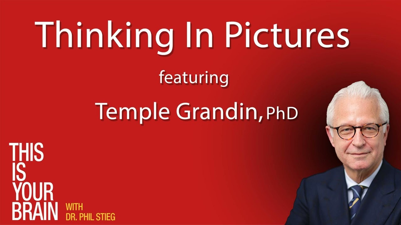 Thinking In Pictures