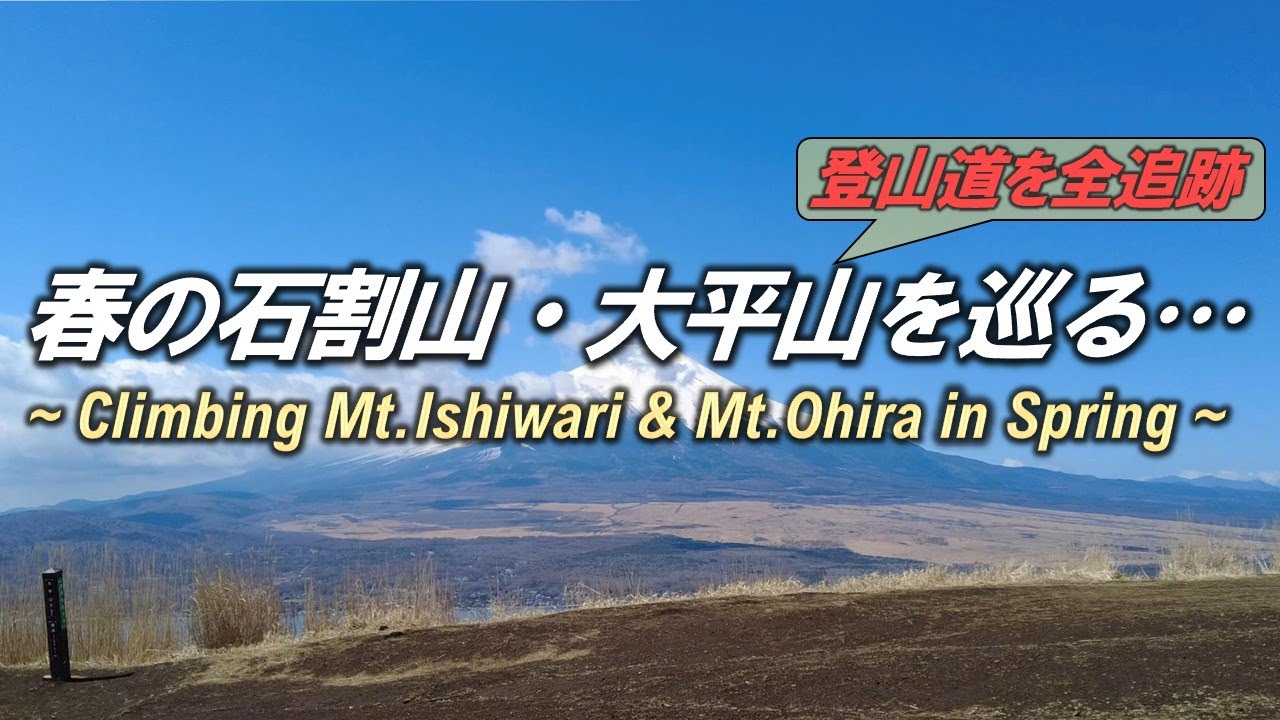 春の石割山･大平山…