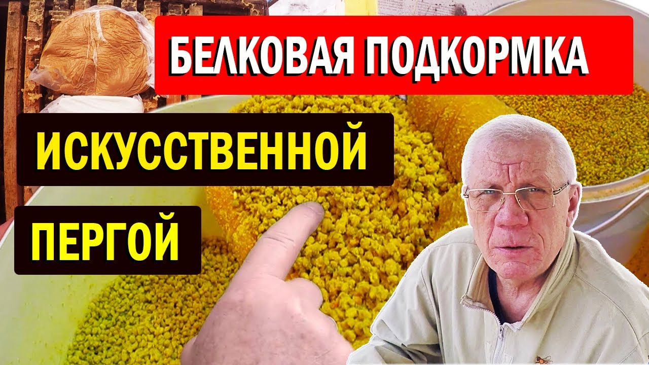 Белковая подкормка для пчел. Когда давать и зачем?