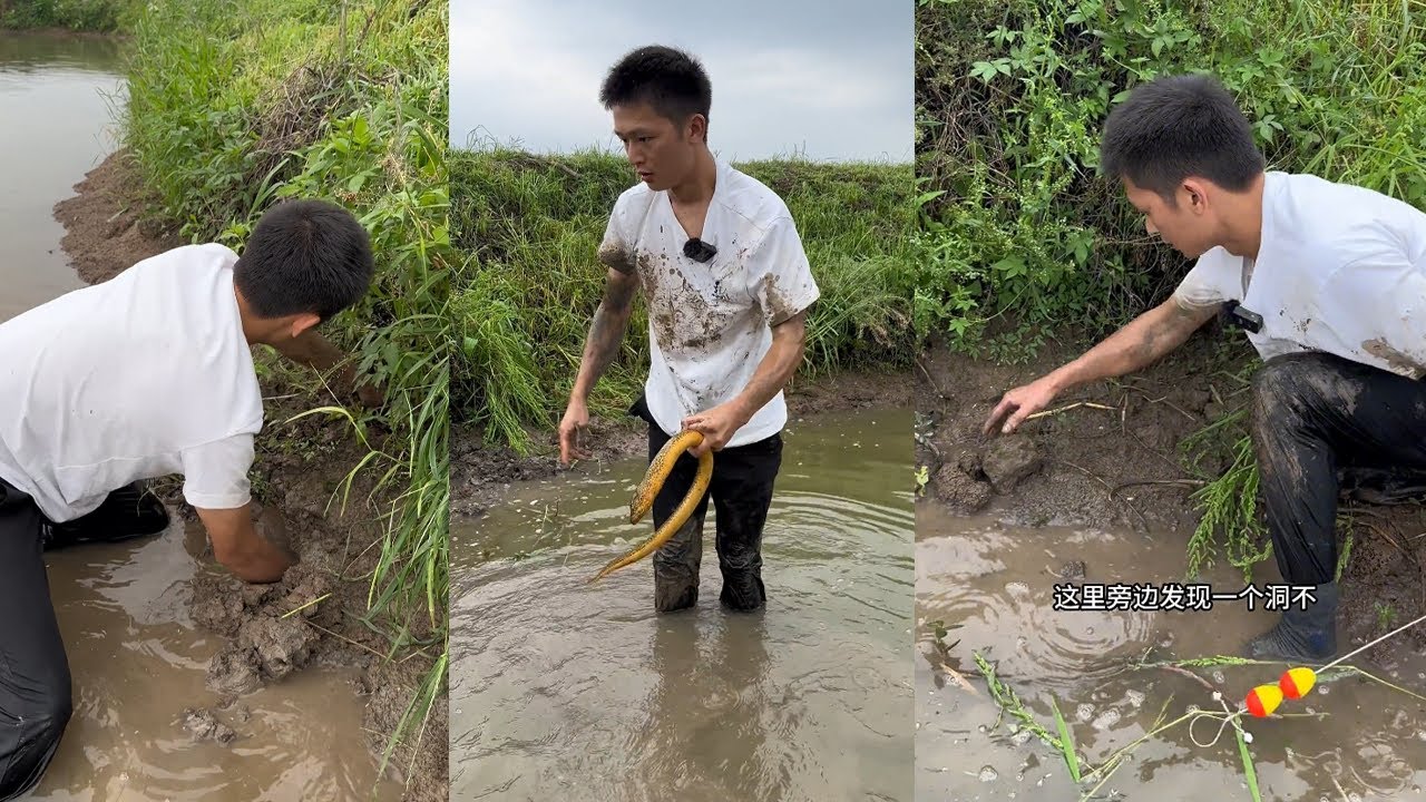 鈴鐺一響鱔魚八兩！今天遇到好事，看能不能把這個桶抓滿#大熱門#viralvideo