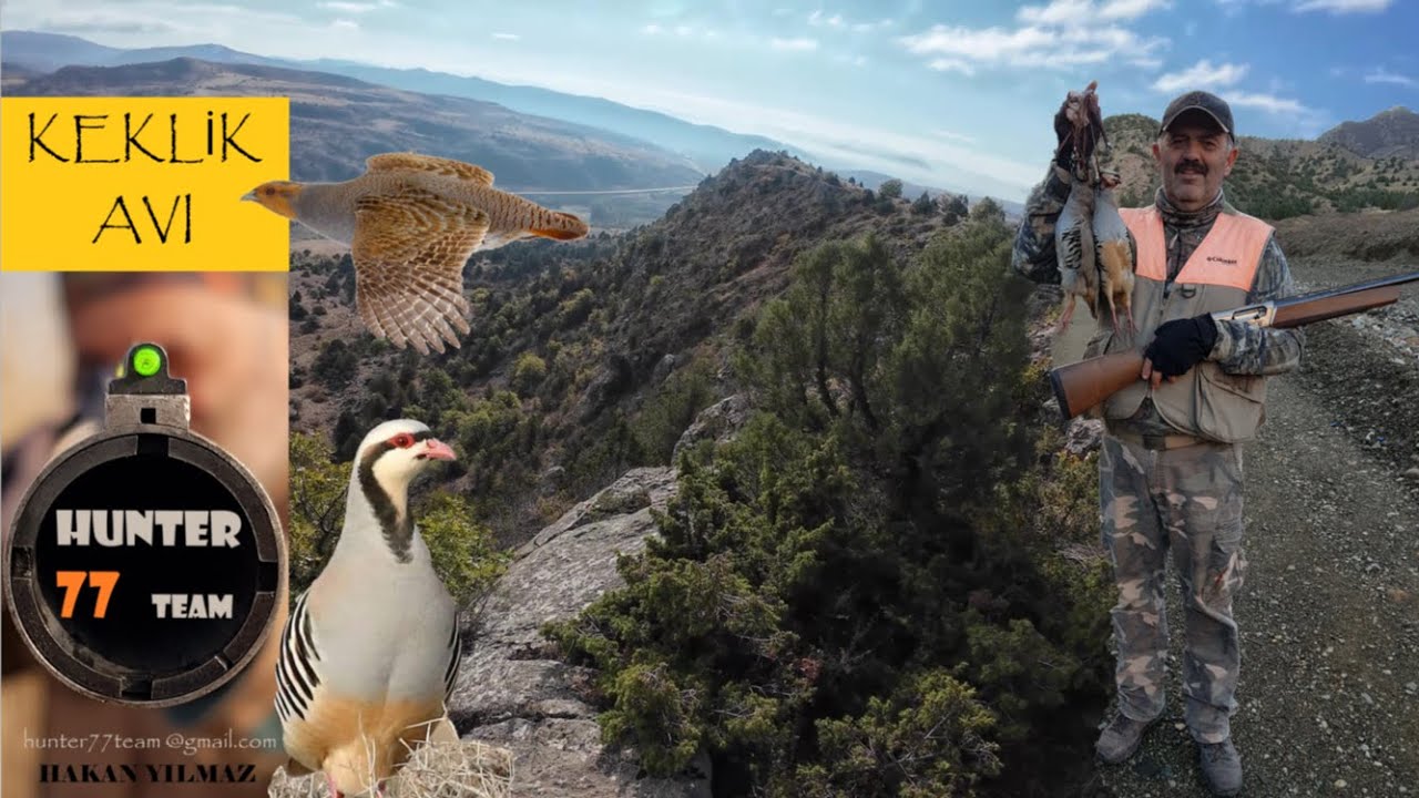 KEKLİK AVI , İÇ  ANADOLU , 2024 , partridge hunt ,مطاردة الحجل, охота на куропатку / SHOTKAM GEN 4