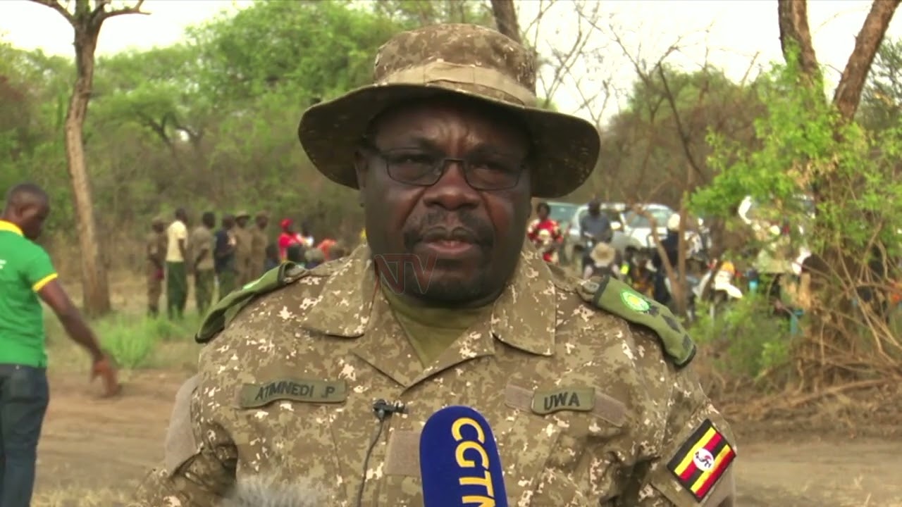 Uganda Wildlife Authority translocates 226 Kobs to Ajai Reserve