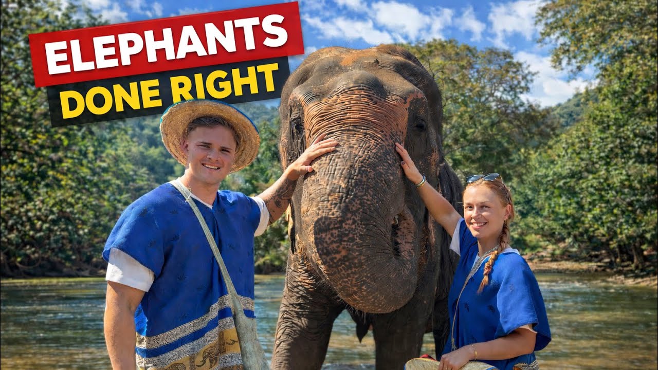 Tourist Gets Slapped By Elephant! 