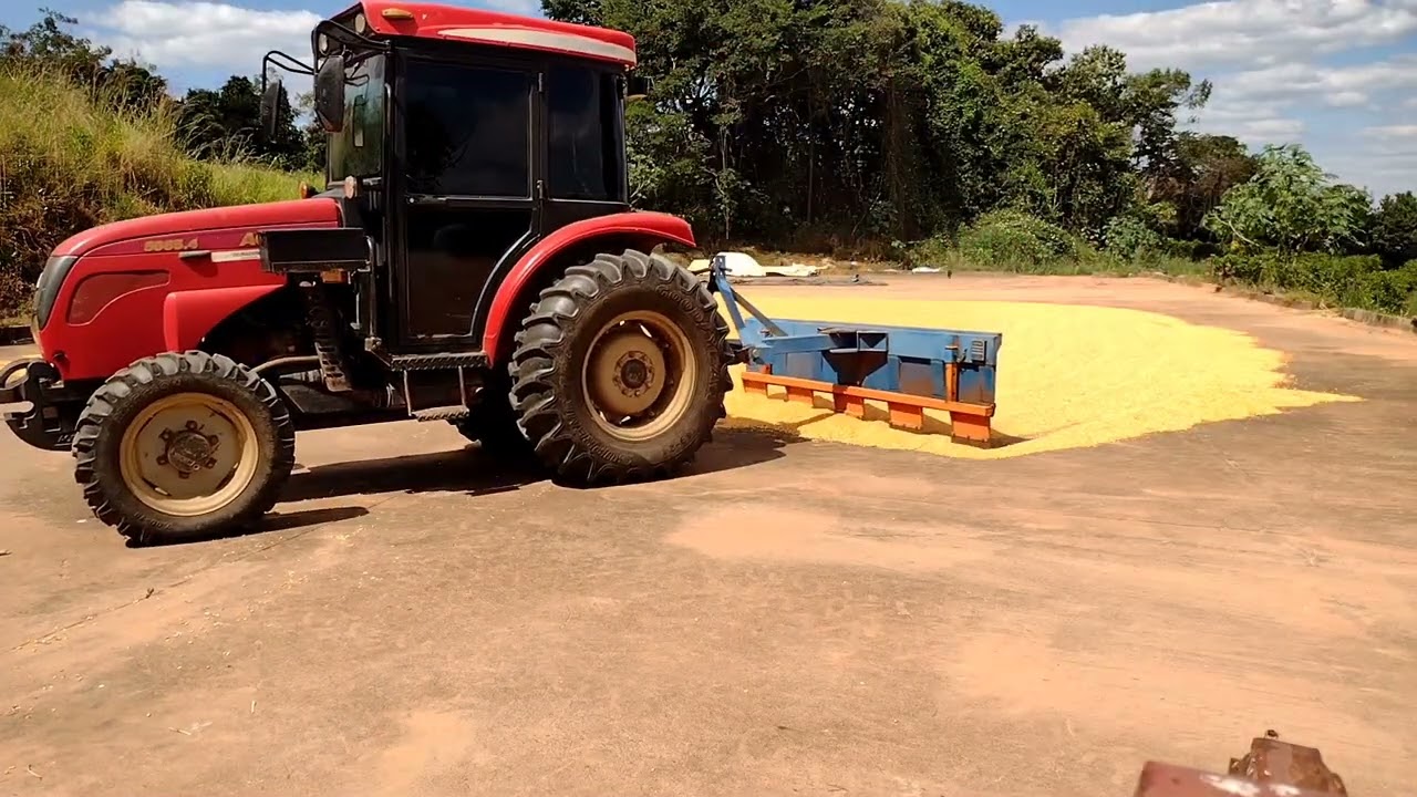 [Secagem do milho] Como saber quando o milho est&aacute; bom 🤔