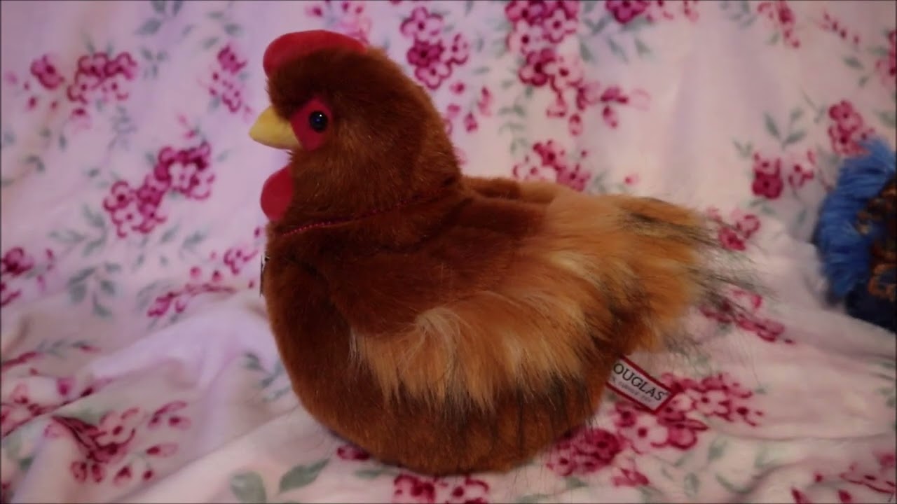🐓❤️Douglas Chicken Plush Package💙🐓