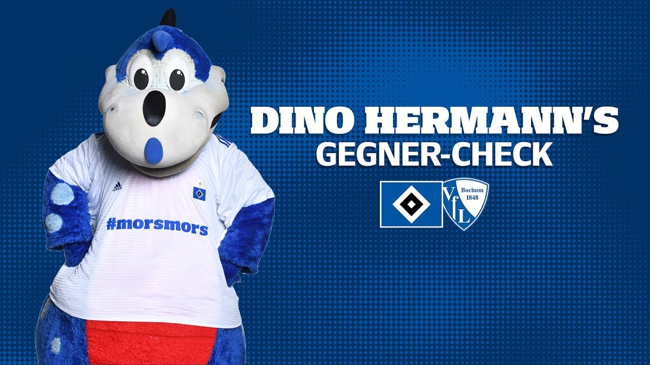 Dino Hermann's Gegner-Check | VfL Bochum
