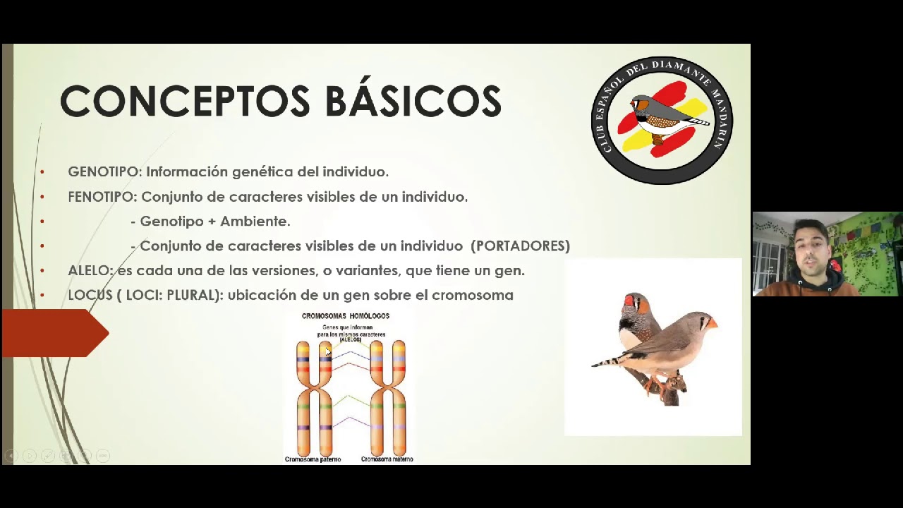 Ponencia Genética Básica