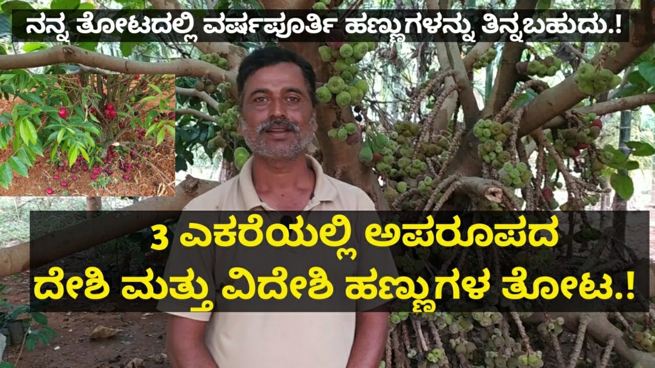 3 ಎಕರೆಯಲ್ಲಿ ಅಪರೂಪದ ದೇಶಿ ಮತ್ತು ವಿದೇಶಿ ಹಣ್ಣುಗಳನ್ನು ಬೆಳೆದು ಯಶಸ್ವಿಯಾದ ತುಮಕೂರಿನ ಯುವ ರೈತ.!