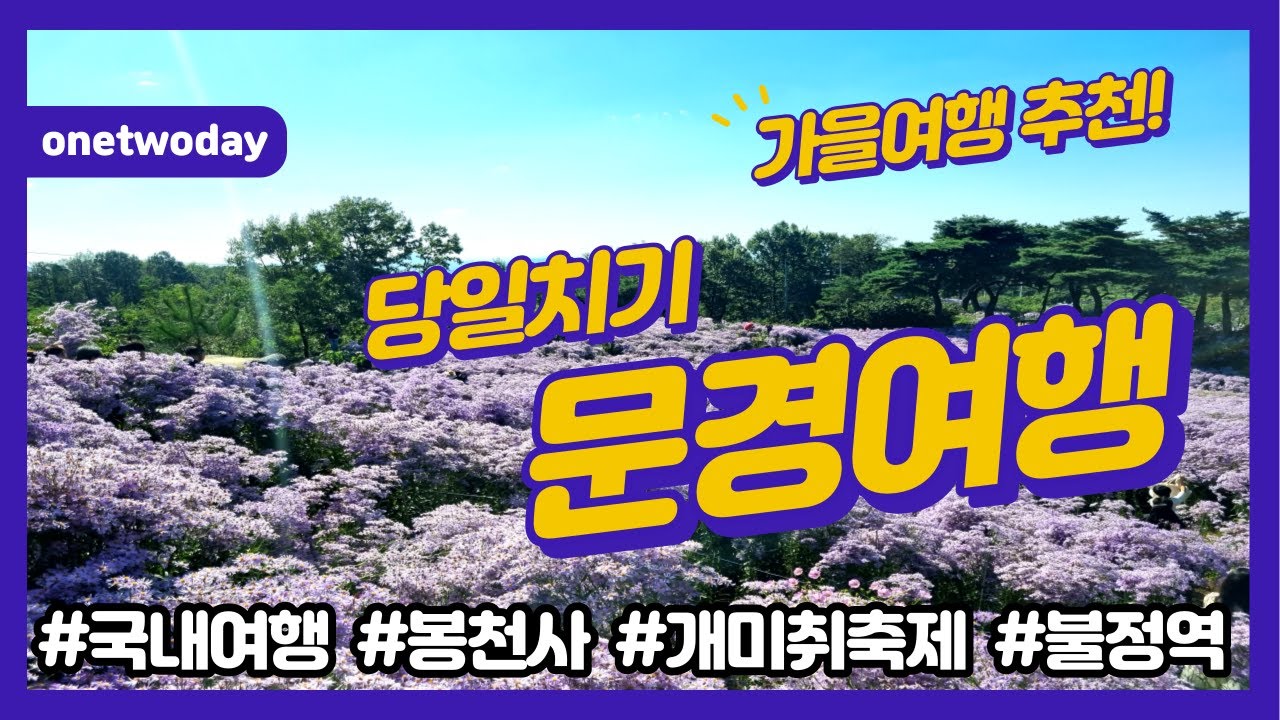 당일치기 문경여행! 국내여행, 가을여행 추천코스(봉천사, 개미취, 불정역, 가은역 카페, 수정식당, 성모반점 등) 경북여행, 부산근교 여행, 경상북도