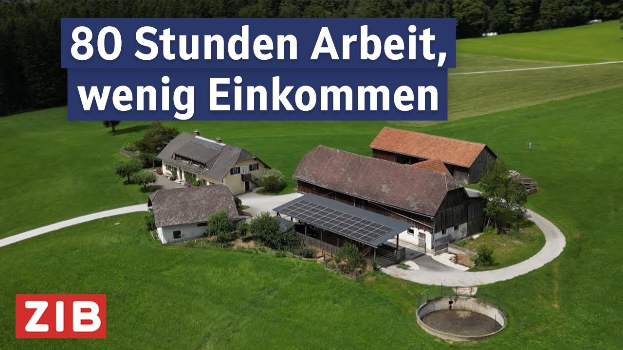 Steiermarks Bauernsterben: Warum immer mehr Höfe zusperren | ZIB2 vom 17.08.2025