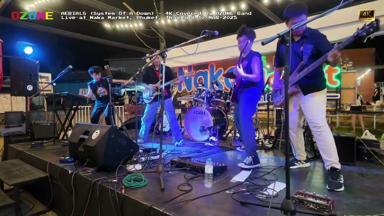 AERIALS (System Of A Down) - 4K Covered by OZONE Band