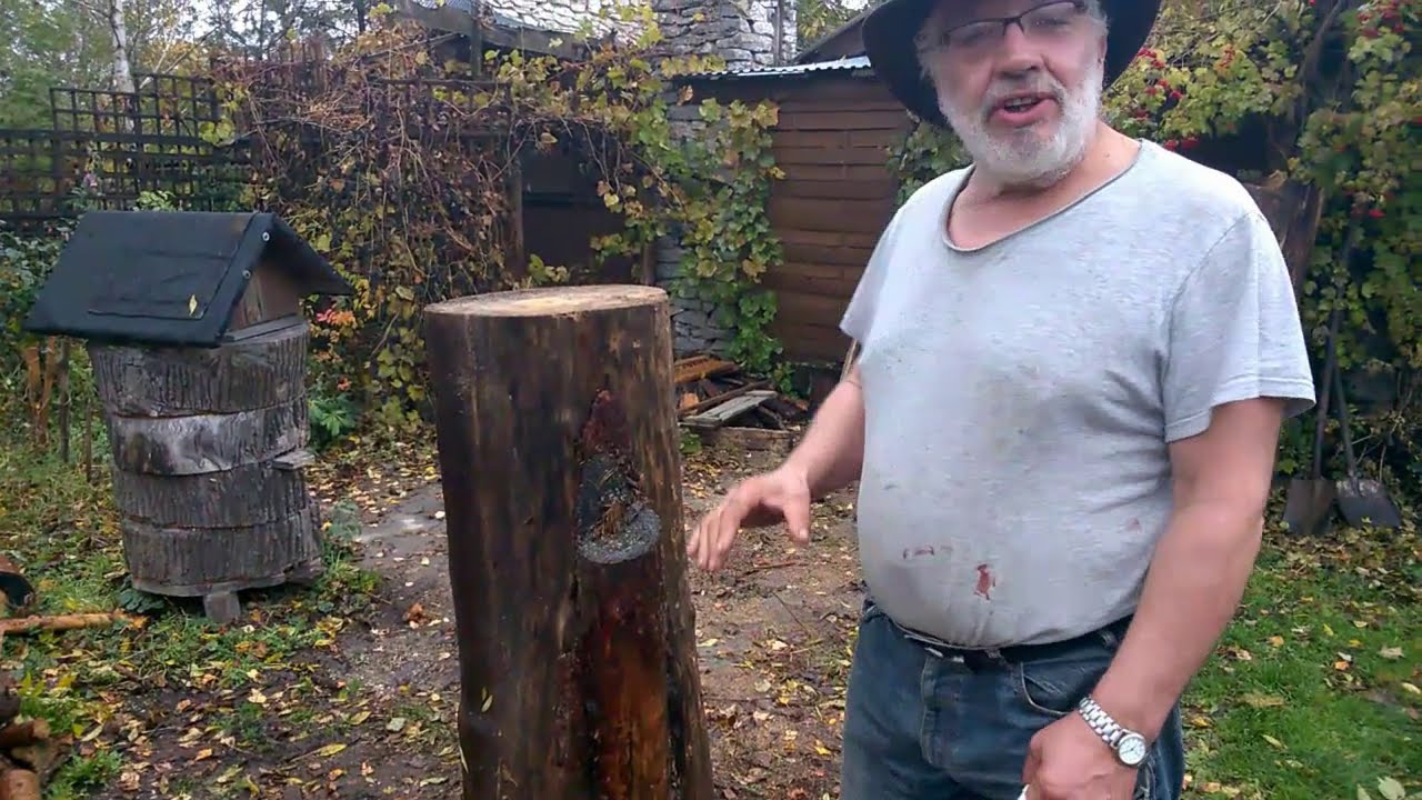Dzianie kłody Bartnej. Pnia w wersji współczesnej.