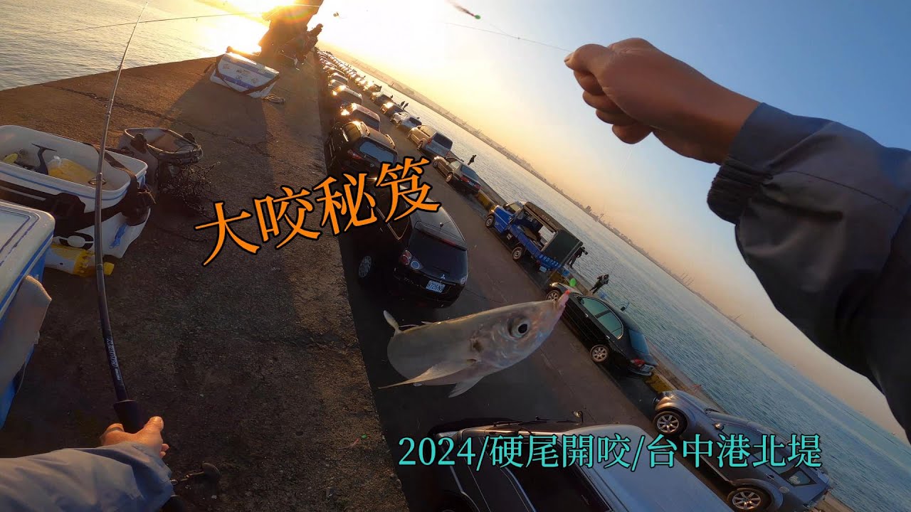 準備好爆筒了嗎? 台中港北堤硬尾季開始了,怎麼樣做才會有好成績? 個人經驗分享 #南投小江 #釣魚 #Fishing #Mancing #釣り