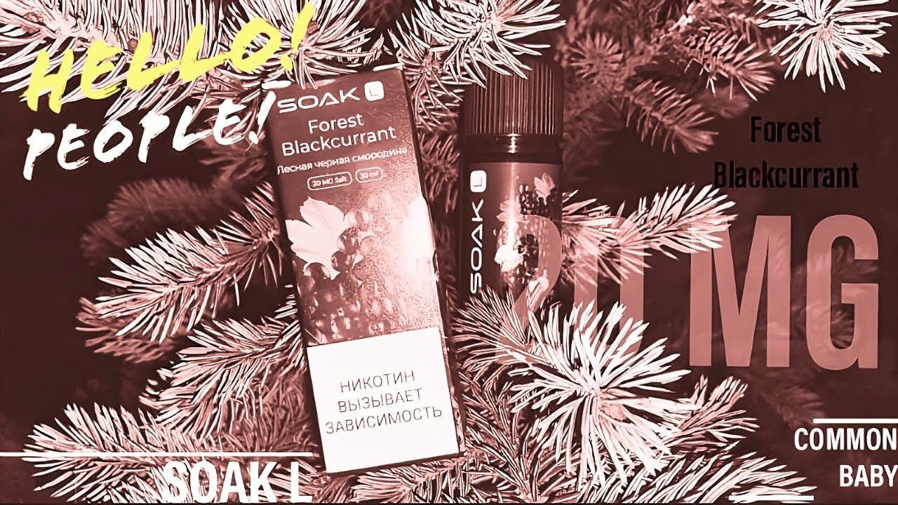 ОБЗОР НА ЖИДКОСТЬ SOAK ЛЕСНАЯ ЧЕРНАЯ СМОРОДИНА