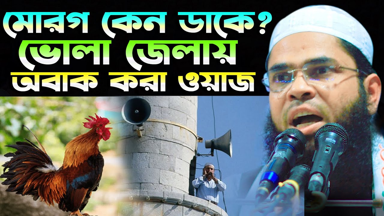 মোরগ কেন ডাকে ভালো জেলায় অবাক করা ওয়াজ | মাওঃ ক্বারী ইব্রাহীম সাহেব (ভোলা) Kuakata Tv
