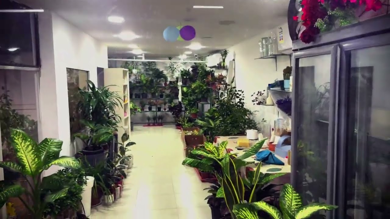 Al- Mansoorah Modern Projects-ASSOAgriculture Nursery,Azaiba, Muscat.