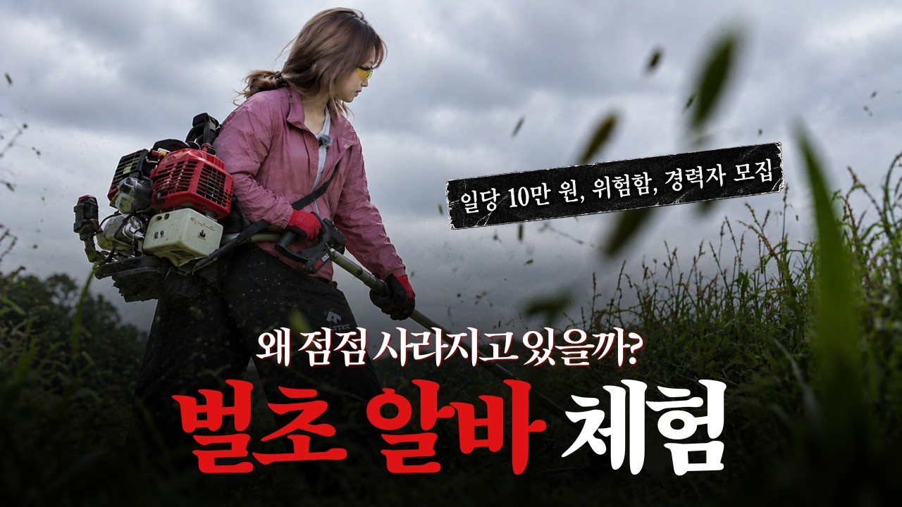 매년 사람이 다치는 벌초, 직접 알바를 해봤습니다
