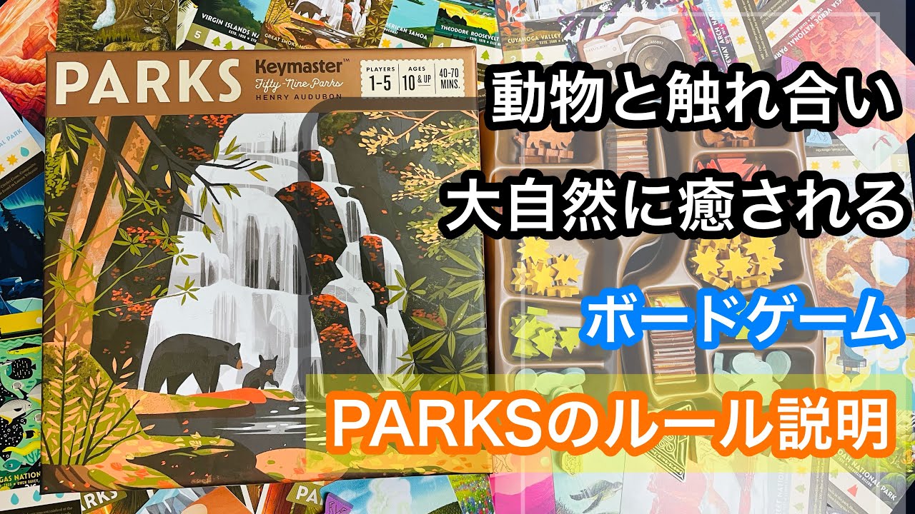大自然公園『PARKS(パークス)』のルール説明【おすすめボードゲーム】