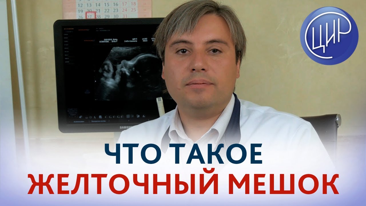 ЖЕЛТОЧНЫЙ МЕШОК. Что такое желточный мешок и зачем его смотрят на УЗИ. Курганников А.С.