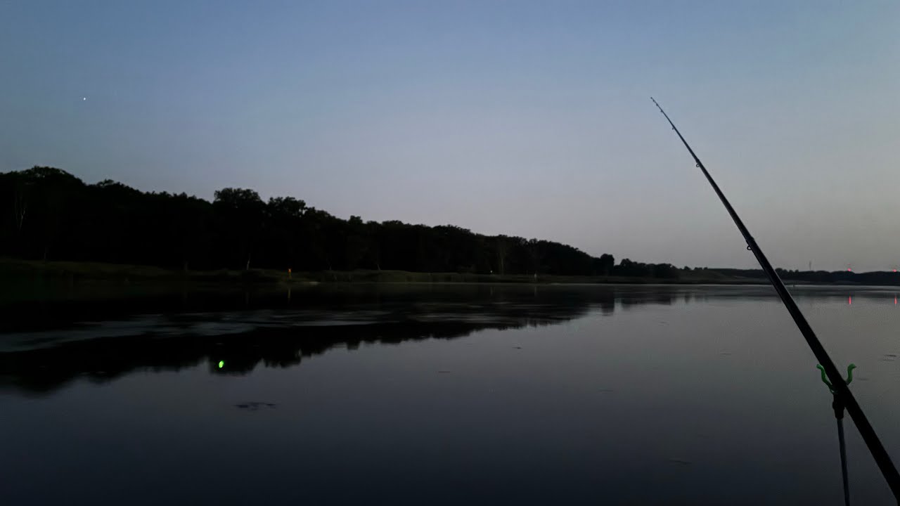 Eine Woche Angeln an der Oder 🎣🐟 | Bolognese-Rute & Grundangeln mit totem Köderfisch 🌅🌙