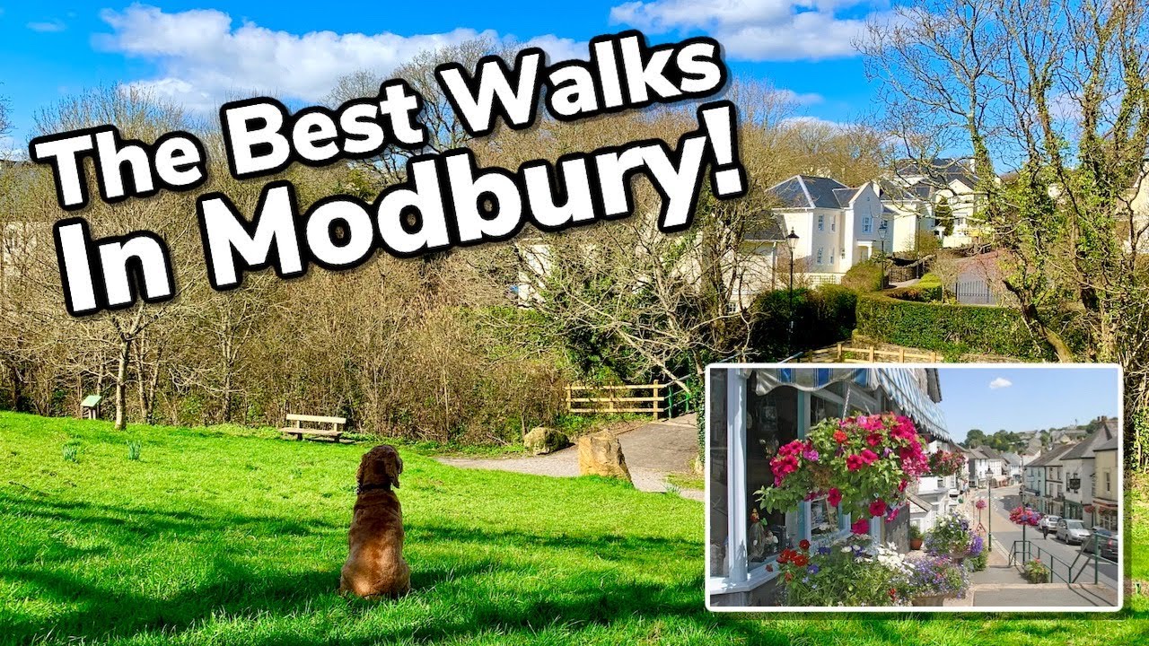 The Best Walking Routes In Historic Modbury | South Hams Devon