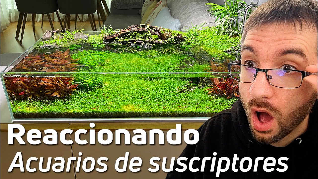 😲Cap Nº29: Explorando un Acuario Diferente y Espectacular