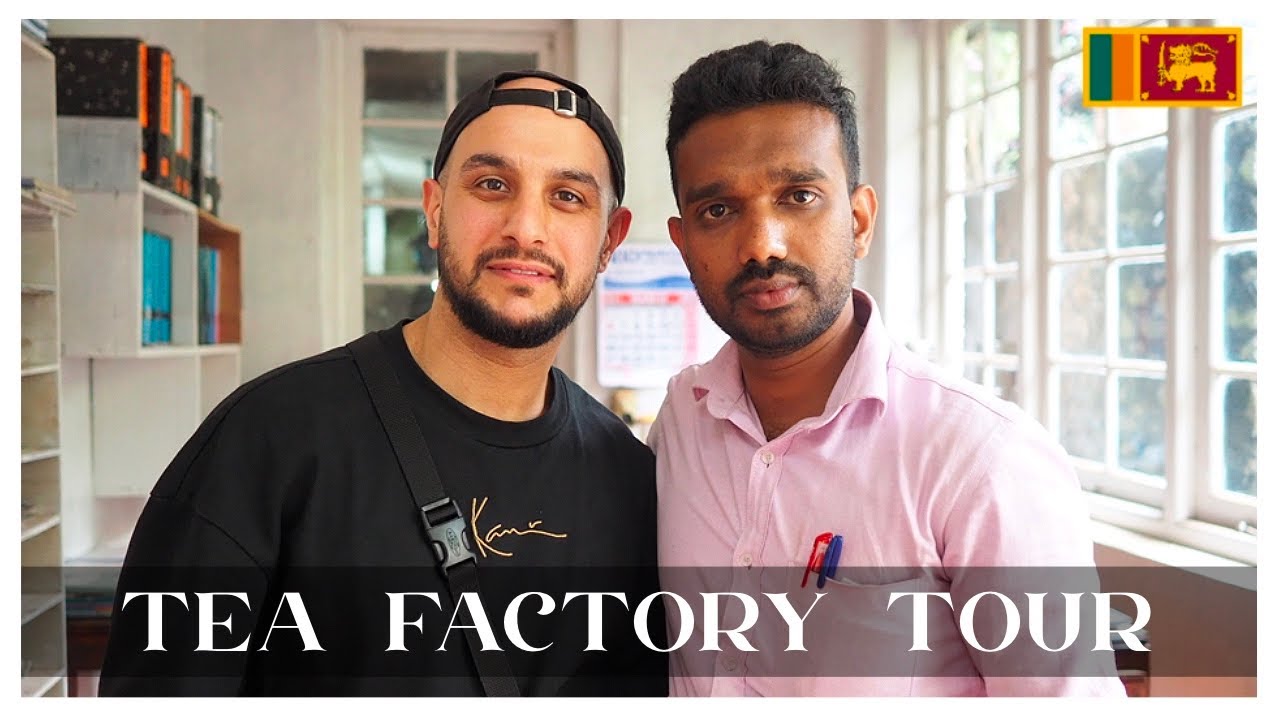 This Man Explains Us How Tea Is Made in Sri Lanka, Ella 🇱🇰 | TRAVEL VLOG #22