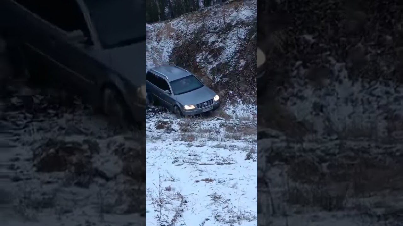 Passat B5 fl