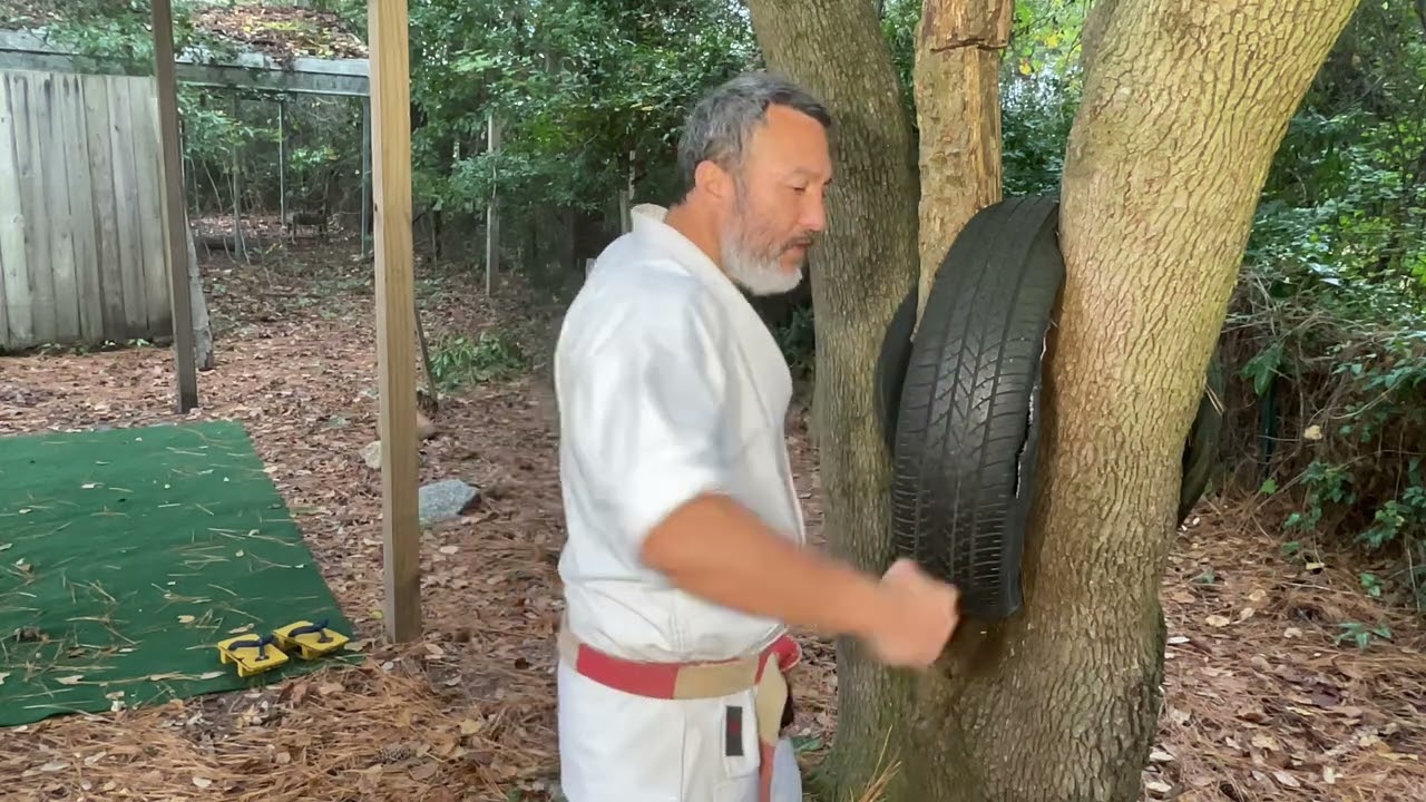 Mawashi Tsuki