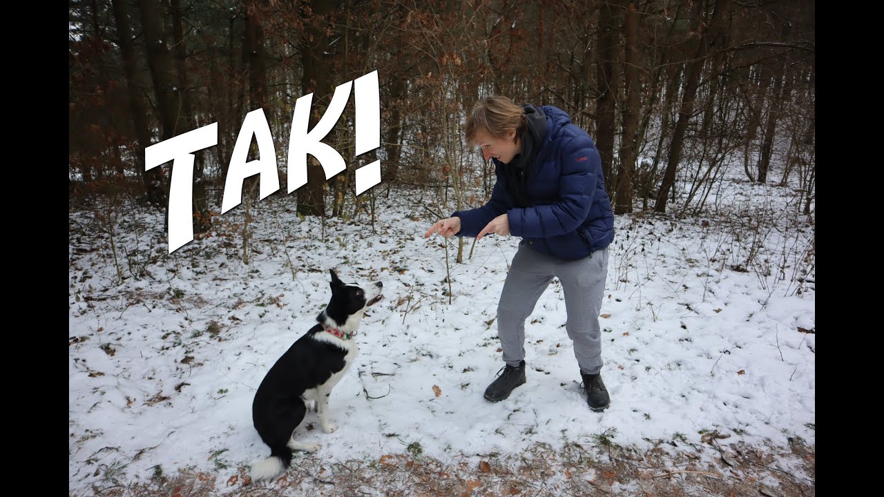 Czym jest MARKER i jak go sobie wykorzystać podczas szkolenia // Szczęśliwy sierściuch