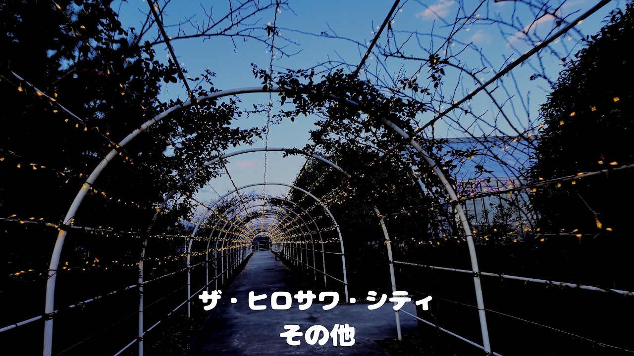 ザ・ヒロサワ・シティ　ユメノバ（その他）
