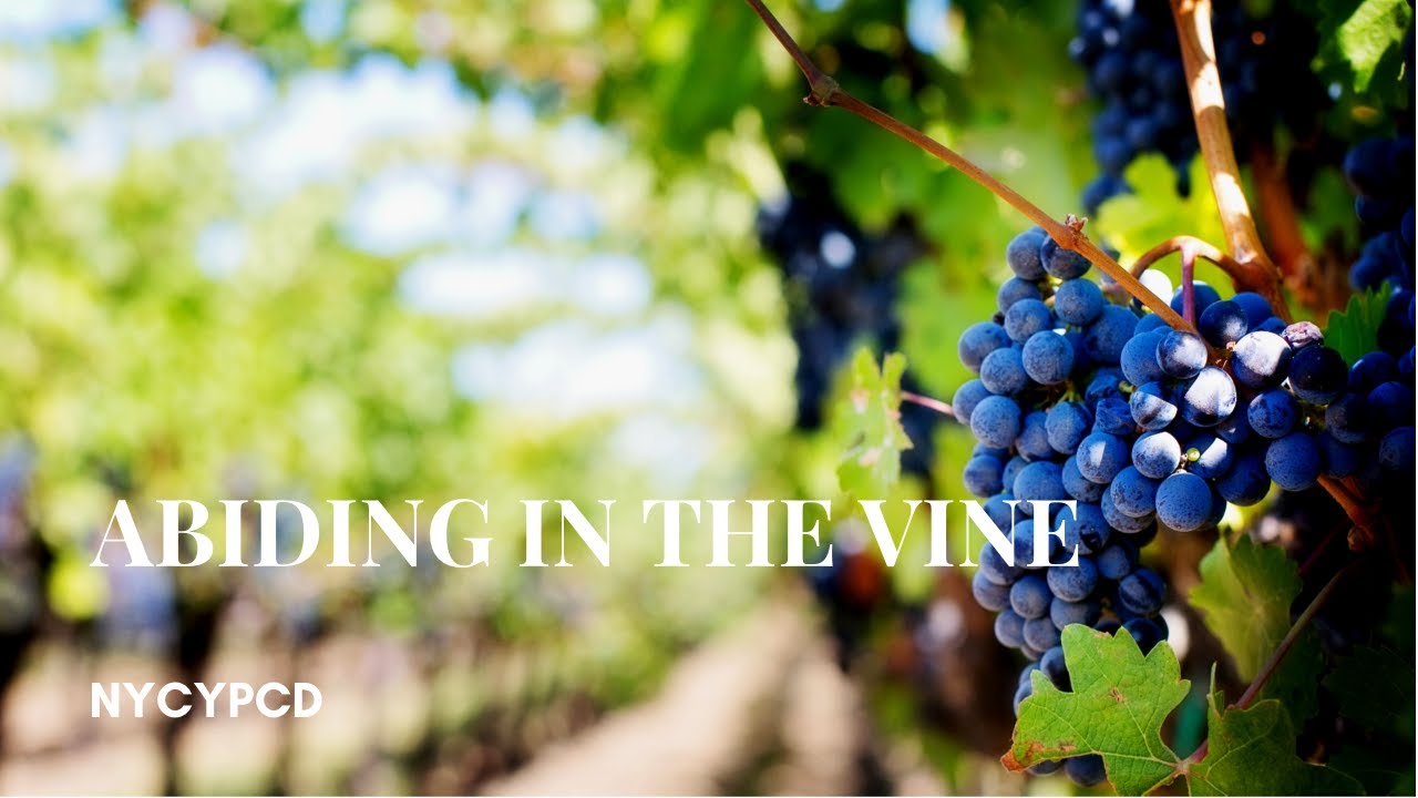 Abiding in the Vine