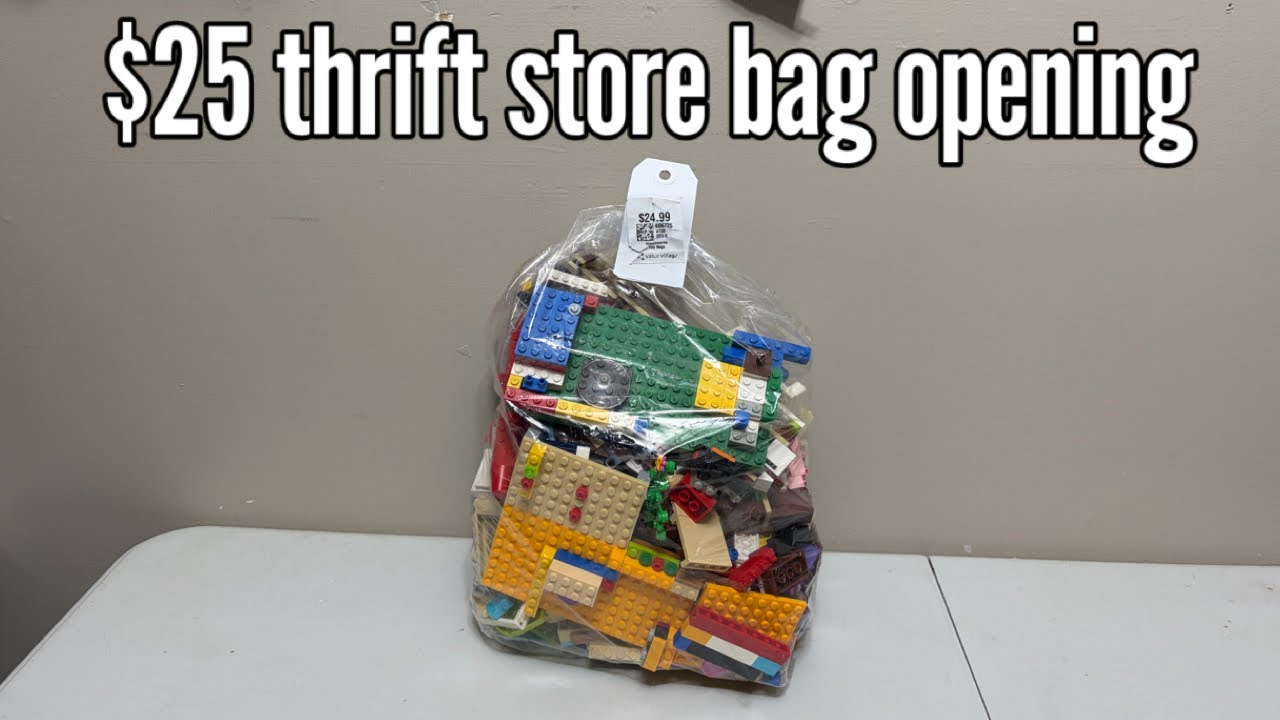 Я купил этот набор конструктора Lego в комиссионке за 25 долларов.