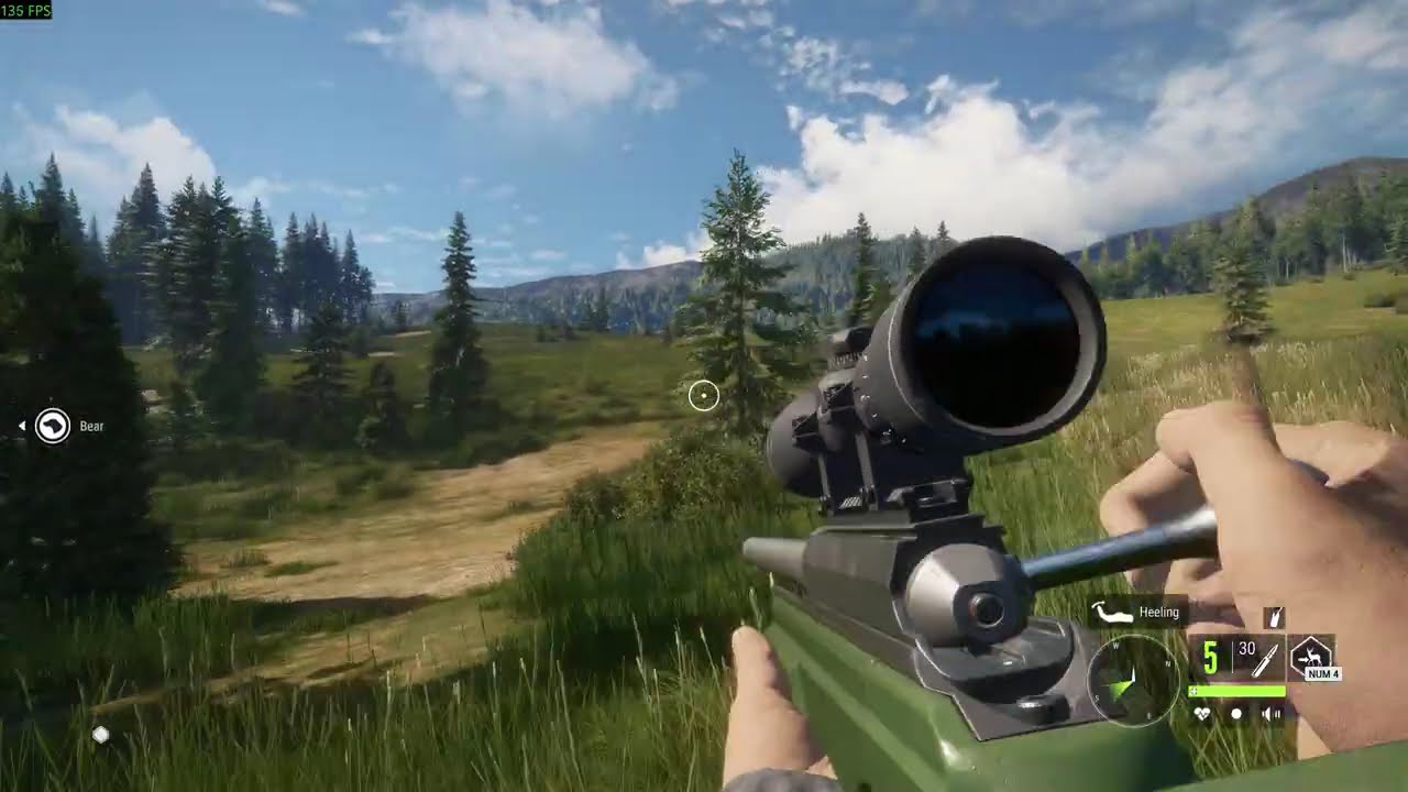 theHunter  Call of the Wild  Just roaming