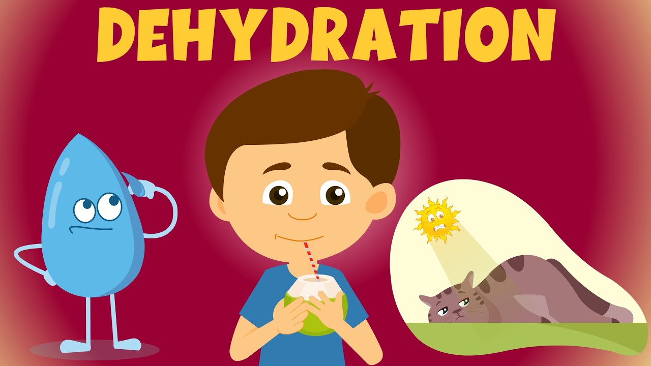 Types of Dehydration - Dehydration: Symptoms, causes, & treatments -  Understanding Dehydration