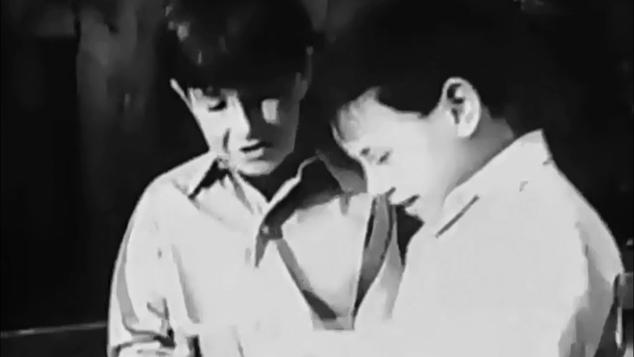 1950s: Persil' Washes Whiter [It Shows]