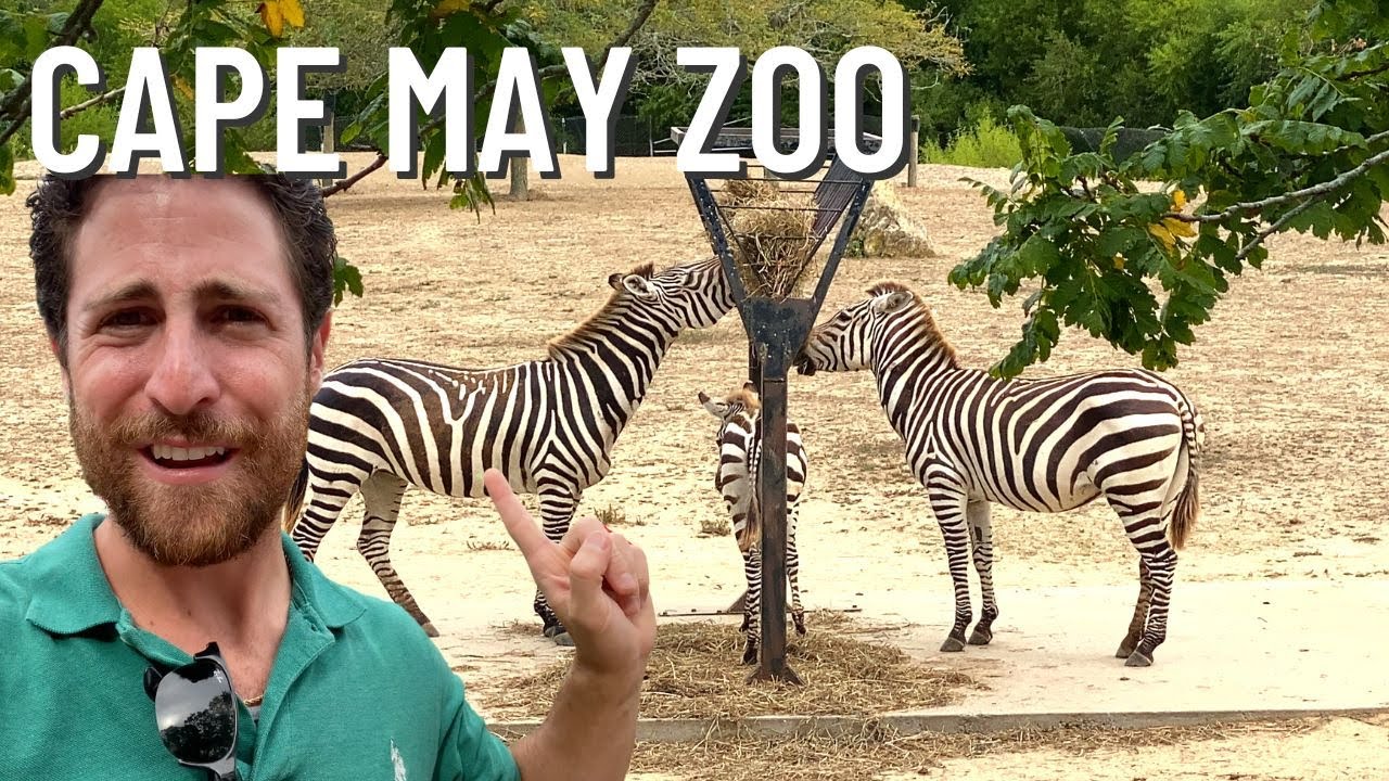 Cape May Zoo Day   2022