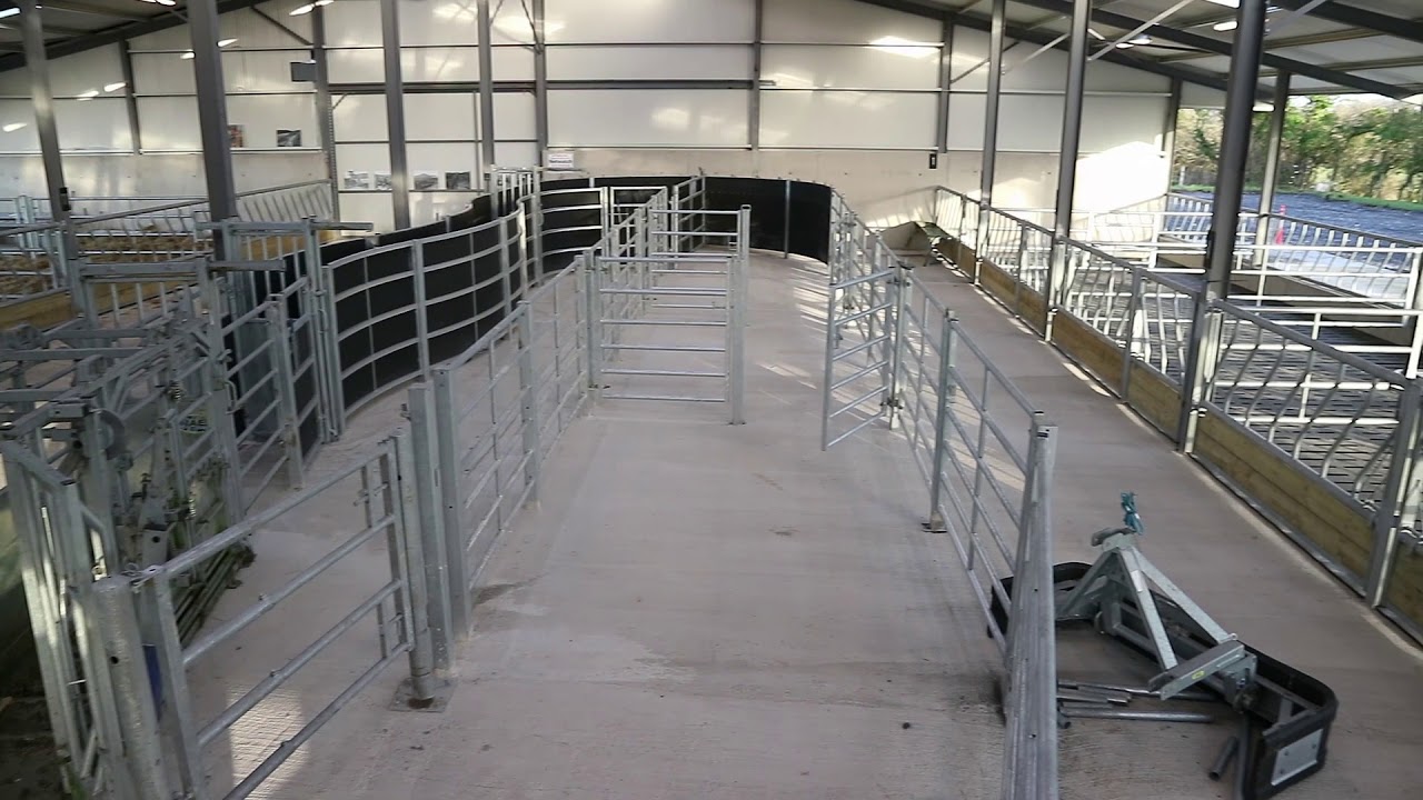 Farm buildings: impressive facilities for cattle dealer