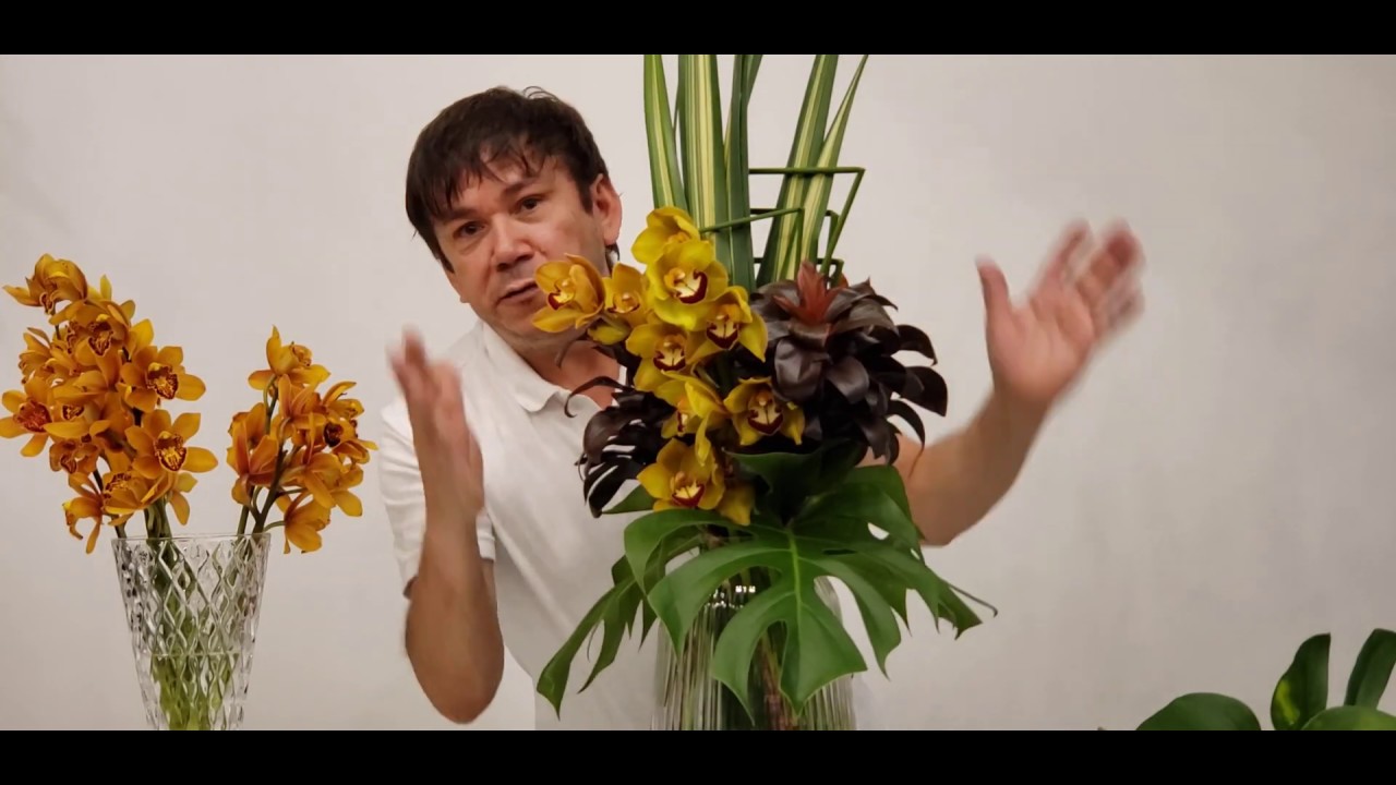 Arranjo Tropical frente única, Por Luis Evangelista