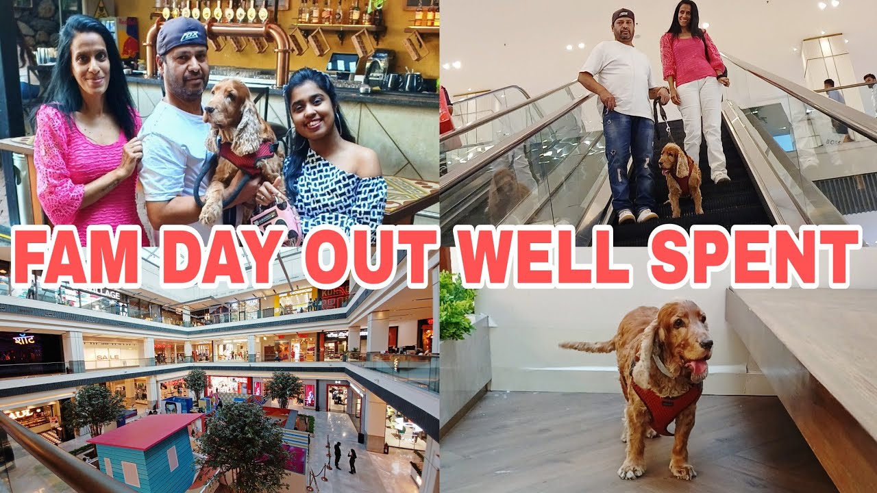 NEW YEAR'S DAY OUT WITH FAM | LUNCH AT TOIT, PUNE | VISIT TO KOPA MALL, PUNE | PET FRIENDLY