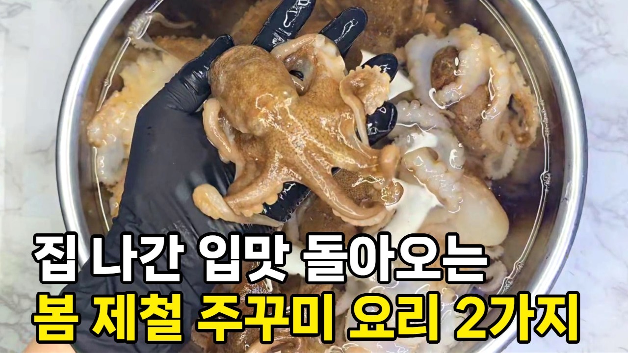 봄 제철 해산물 주꾸미, 손질법, 주꾸미 봄나물 샐러드와 쭈삼 불고기, 황금레시피
