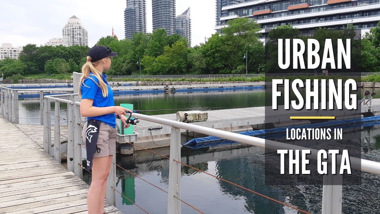 Humber Bay Park East & West, Toronto | Urban Fishing Locations in the GTA