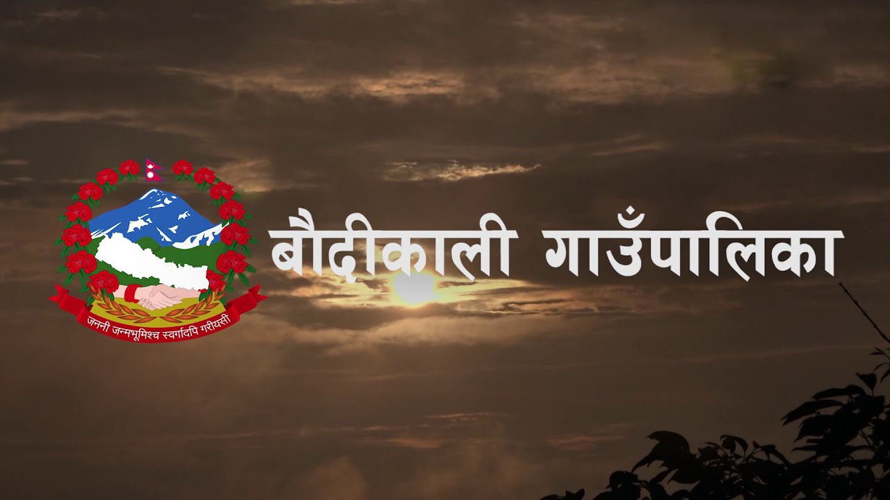 कृषि र विकासमा अग्रसर बौदीकाली गाउँपालिका || Baudikali Rural Municipality
