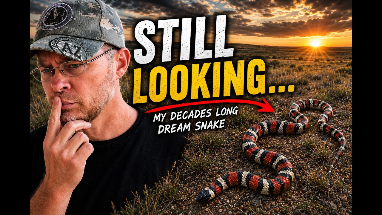 Milk Snakes in Arizona - Field Herping - Episode 4